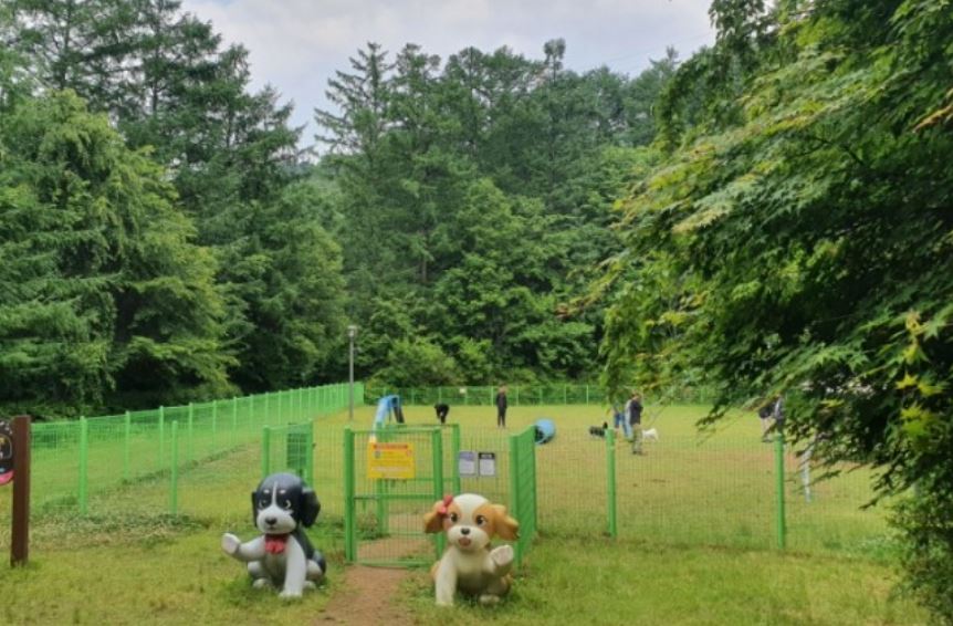 산음자연휴양림-애견놀이터